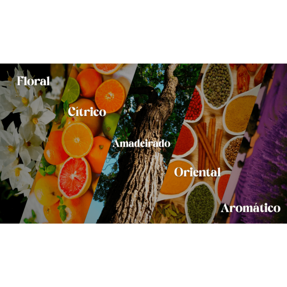 A alquimia dos Cheiros: um passeio pelas famílias olfativas - StoreParfum